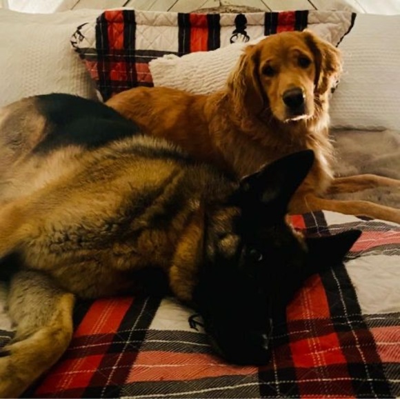 Meet your Posher, Tara - Picture 1 of 1